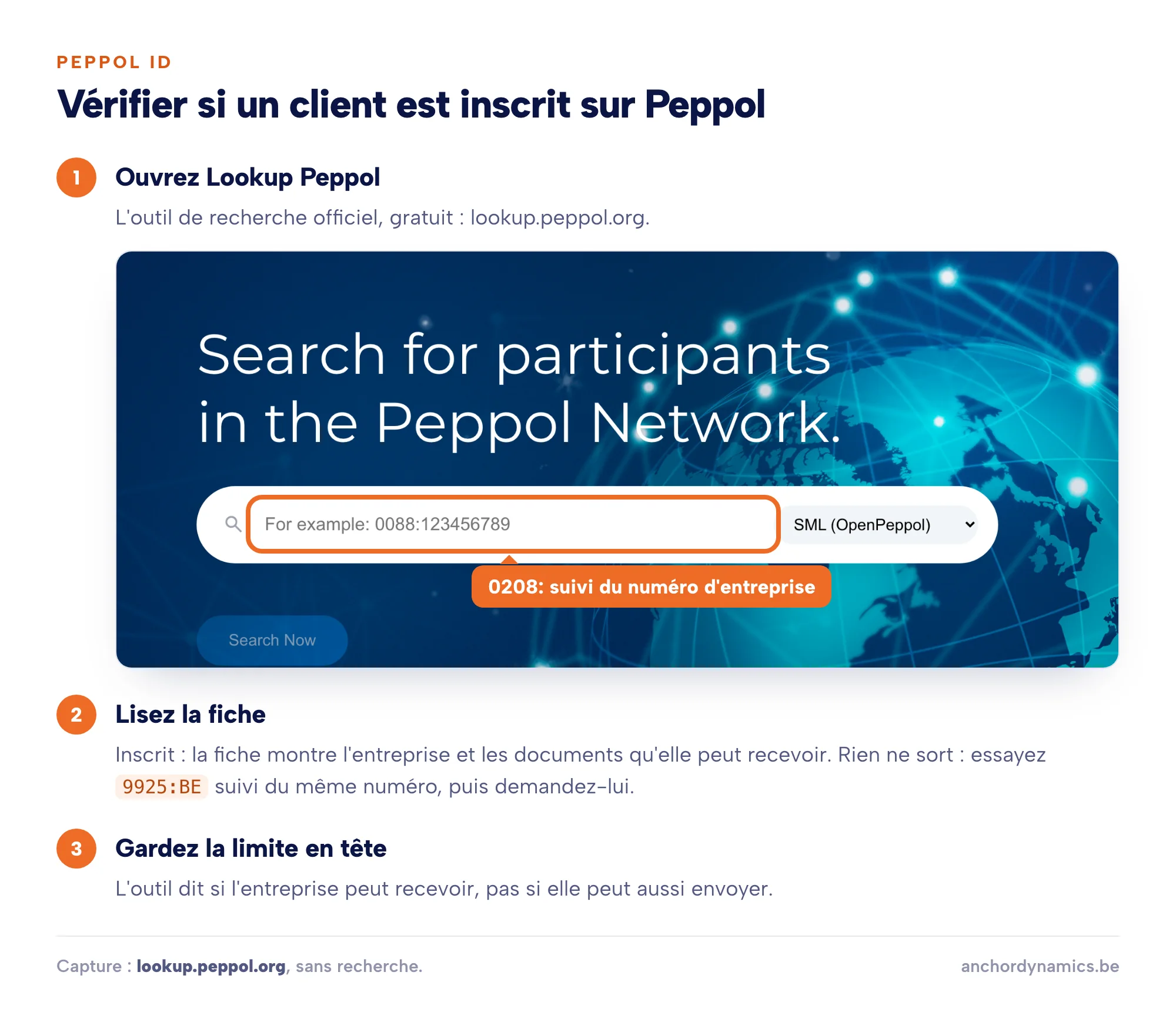 Capture annotée de Lookup Peppol : encoder 0208 suivi du numéro d'entreprise du client, lire la fiche, et retenir que l'outil montre la réception mais pas l'envoi